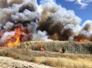 CEMML wildland firefighter in california