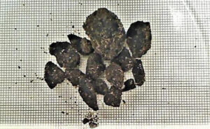 1,500 year old charcoal found at Fort McCoy