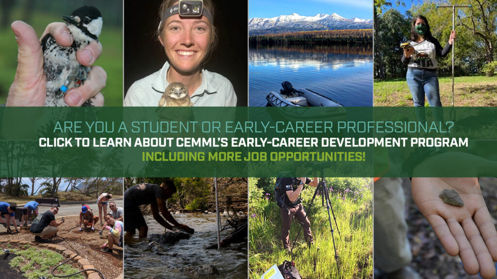 CEMML early-career development program