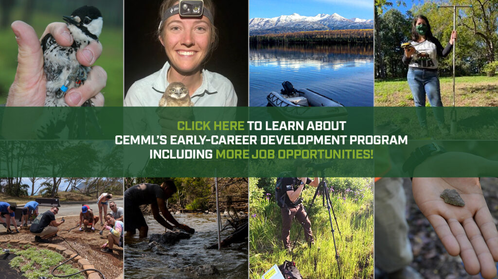 CEMML early-career development program