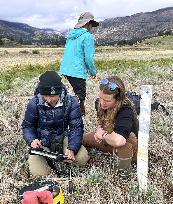 Members of the Data Strike Team assist the Rocky Mountain Inventory and Monitoring Network with the aim of getting data into scientists’ hands.